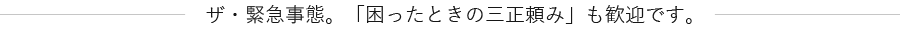 ザ・緊急事態。「困ったときの三正頼み」も歓迎です。